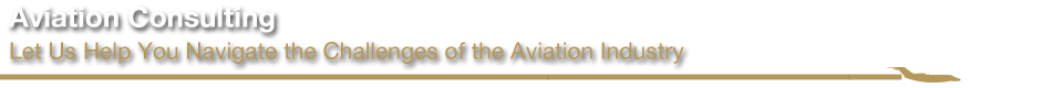 Aviation Consulting